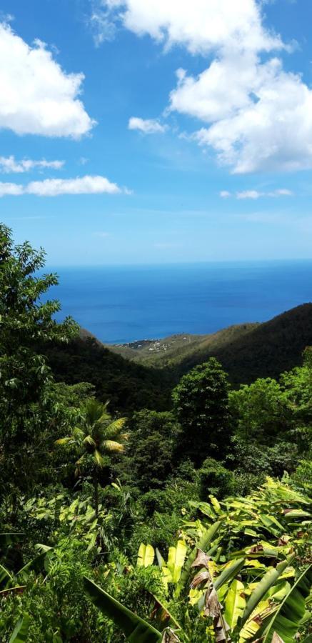 Côté Caraïbes Apartamento Bouillante Exterior foto