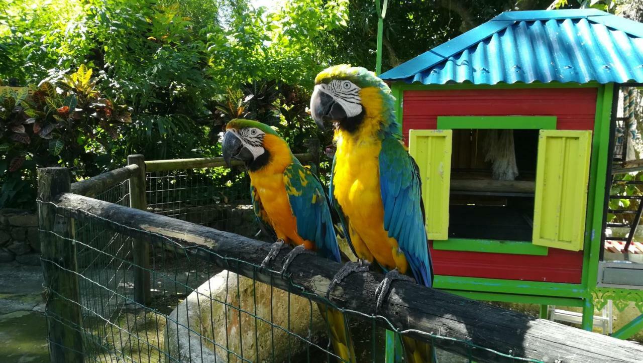 Côté Caraïbes Apartamento Bouillante Exterior foto